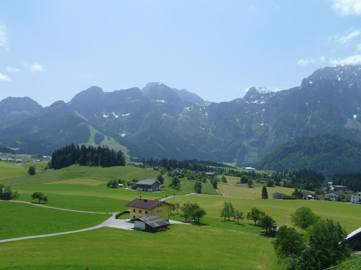 Apartement Obweghof Abtenau, Salzburger Land Dış mekan fotoğraf